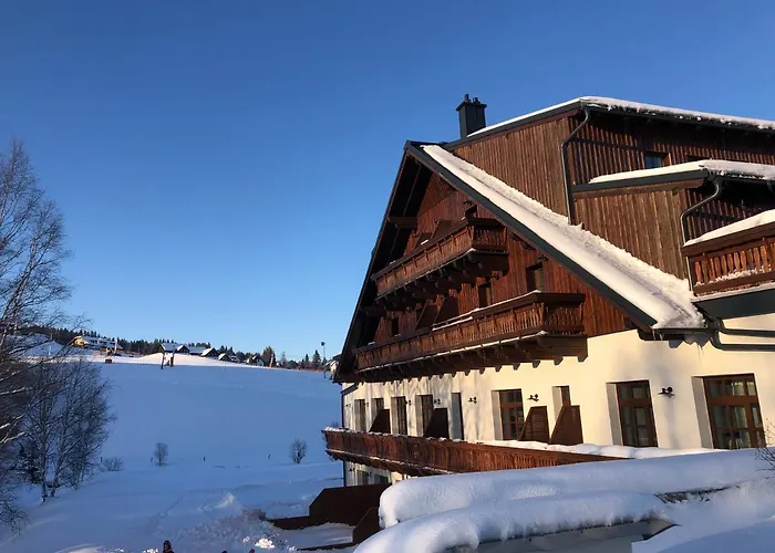 Apartman Strunzova Pila Kvilda 203